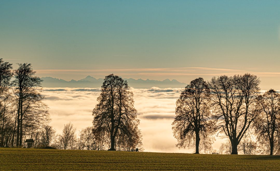 Hintergrundbild der Gemeinde Heiligenberg