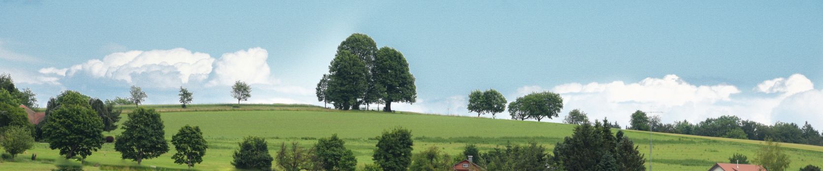 Hintergrundbild der Gemeinde Heiligenberg