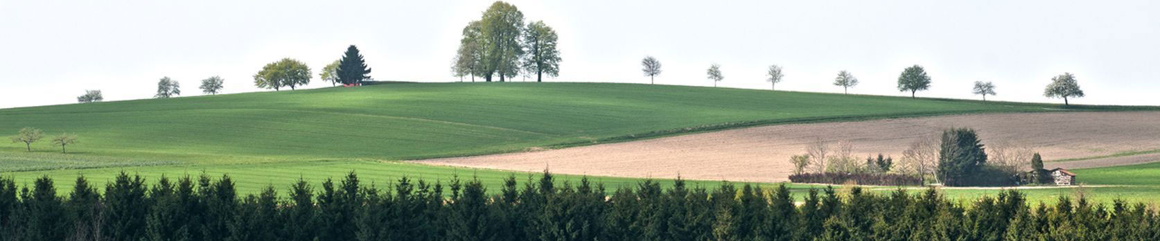 Hintergrundbild der Gemeinde Heiligenberg