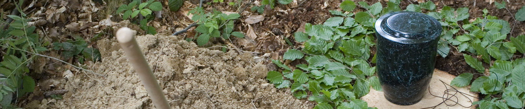 Hintergrundbild der Gemeinde Heiligenberg