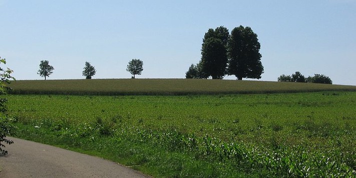 Amalienhöhe